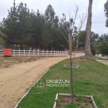 Imagen de propiedad